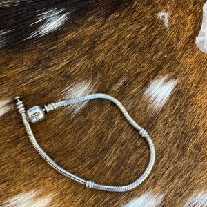 Pandora Silver Charm Bracelet